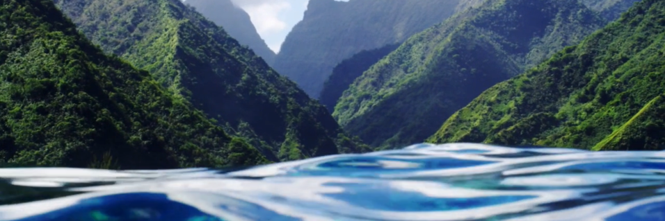 maxpeppepe's profile banner image
