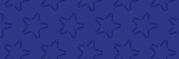 TurkeyAmCham's profile banner image