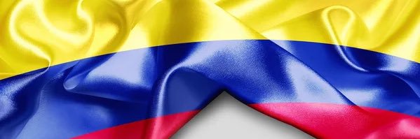 Sofía Gaviria Correa banner