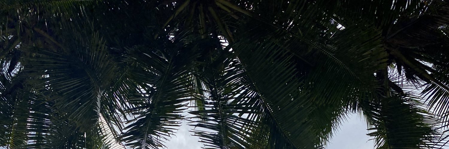 jaaaach's profile banner image