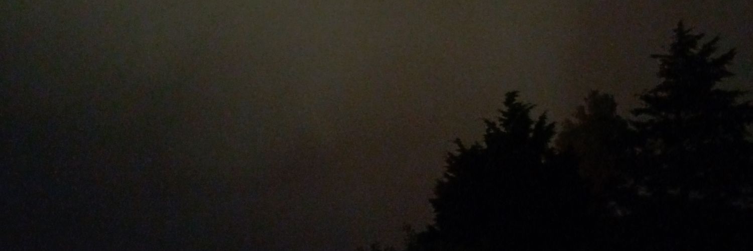 MajaStruthers's profile banner image