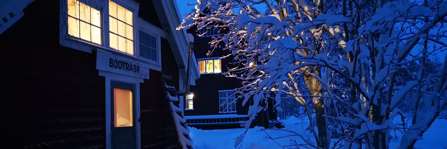 NilssonAgneta's profile banner image