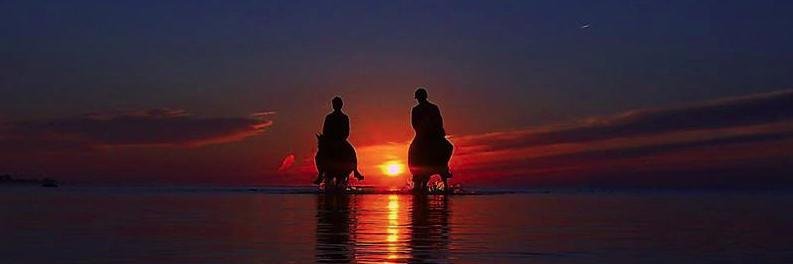 Björn Ekmark banner