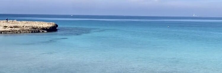 lorena d'urso banner