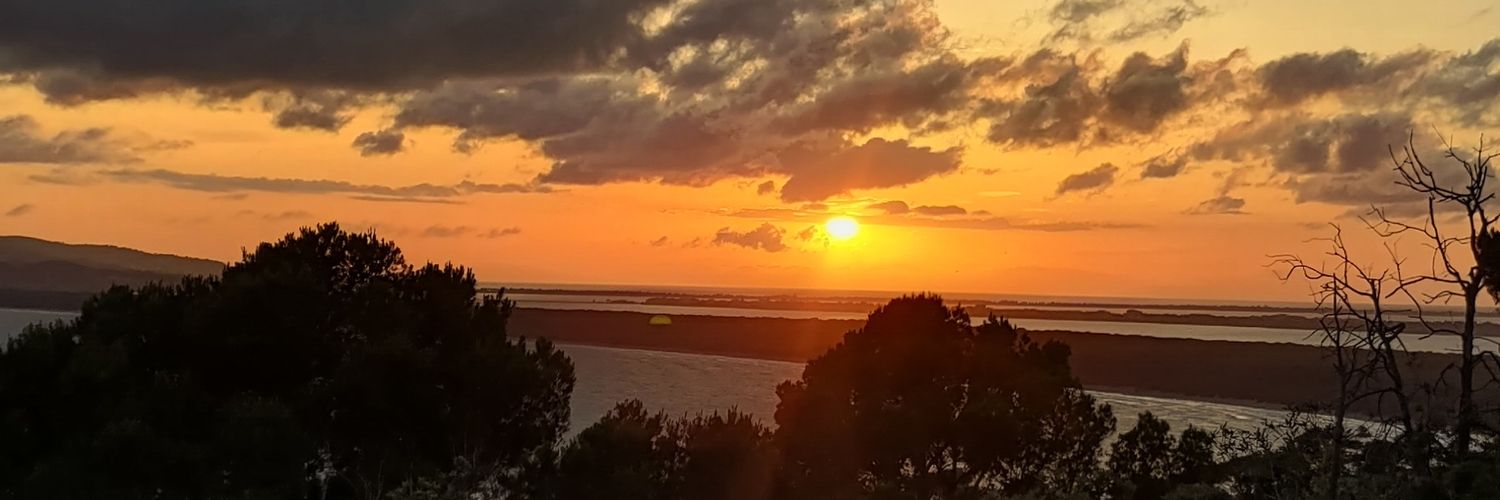 Ciavarda's profile banner image