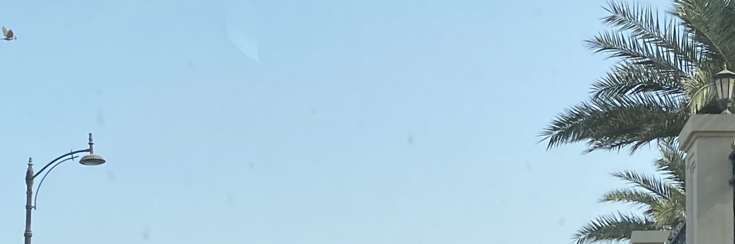 _sa3diya's profile banner image
