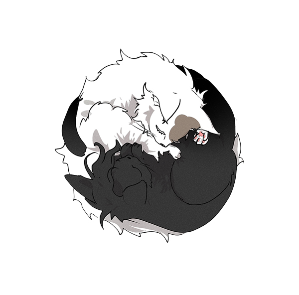 たすュ's banner
