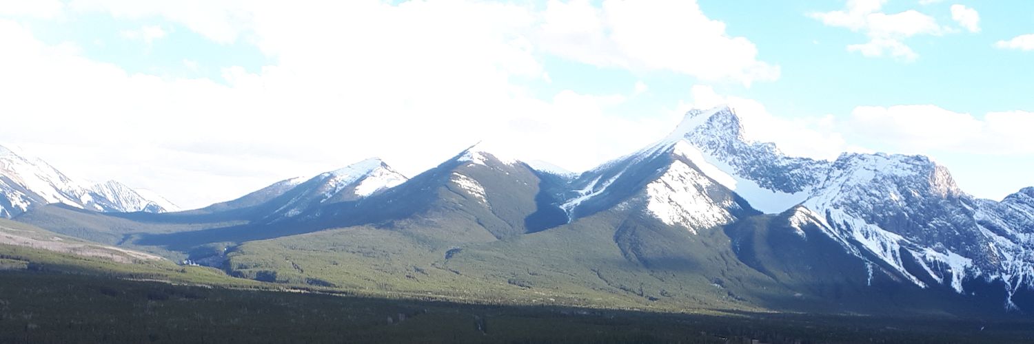 it's a Travis D ! banner