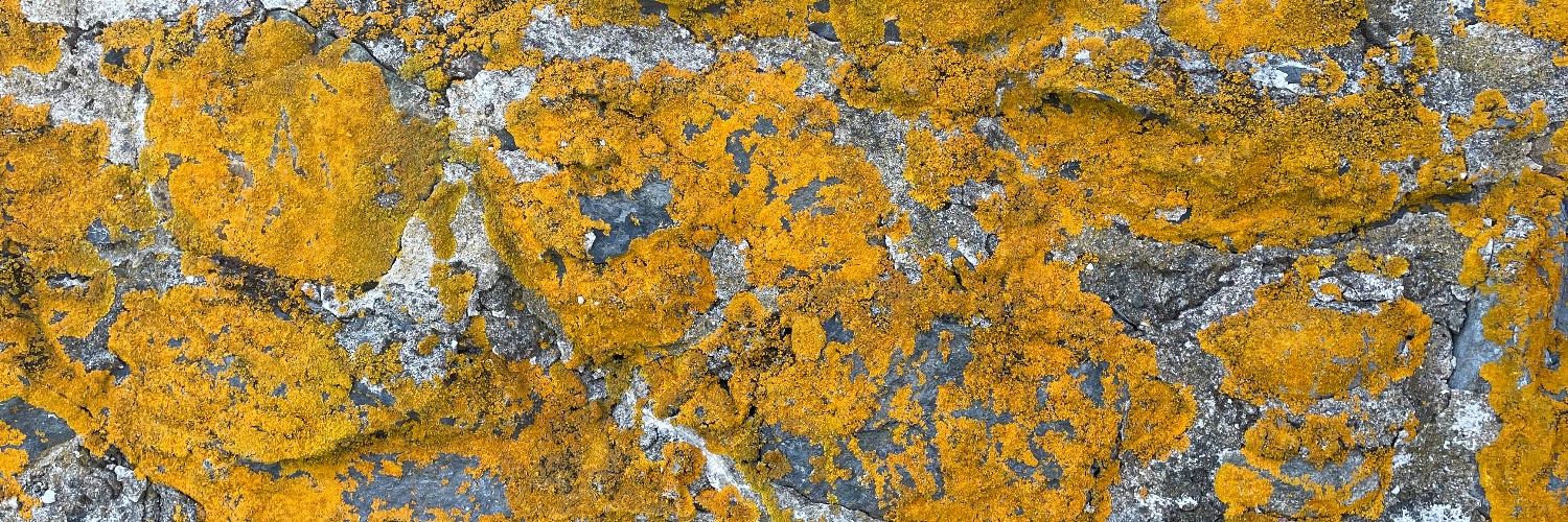 gregmartz's profile banner image