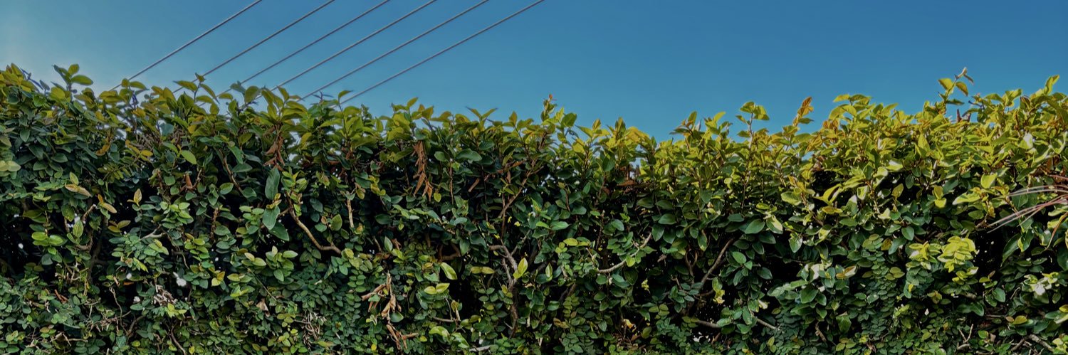 andr4de's profile banner image