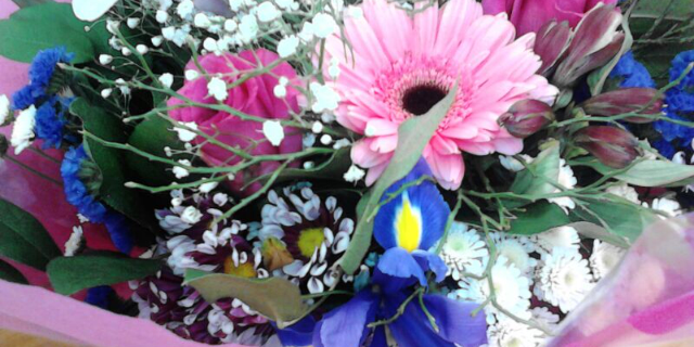 SueODwyer's profile banner image