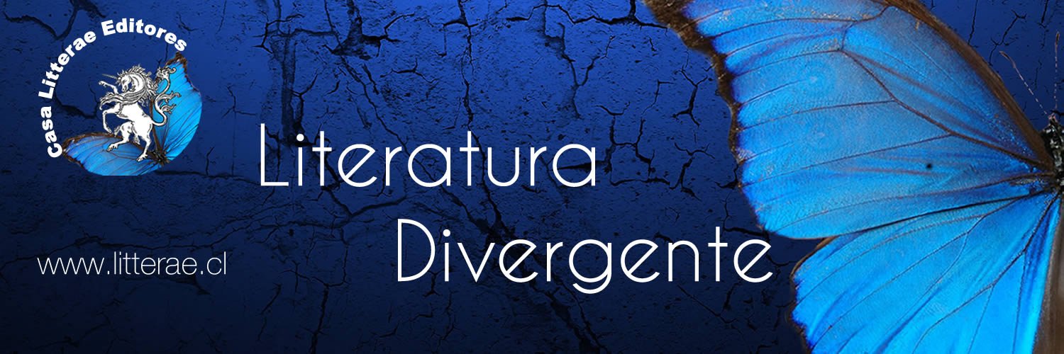 Litteraechile's profile banner image