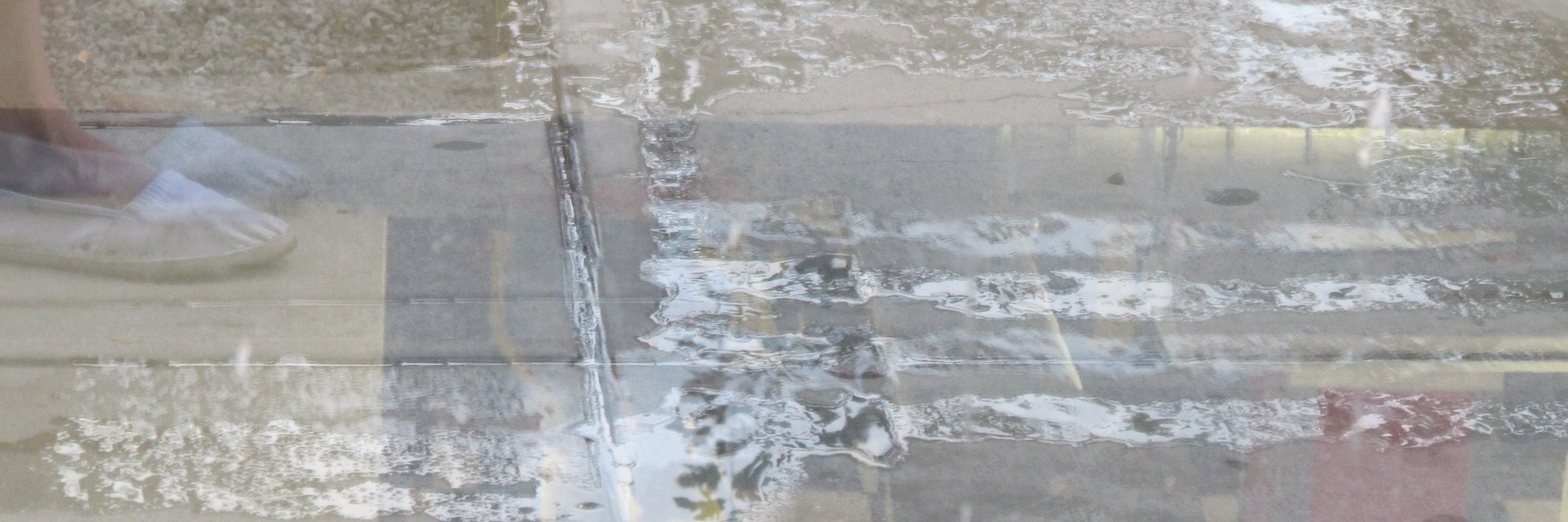 janet alexander banner