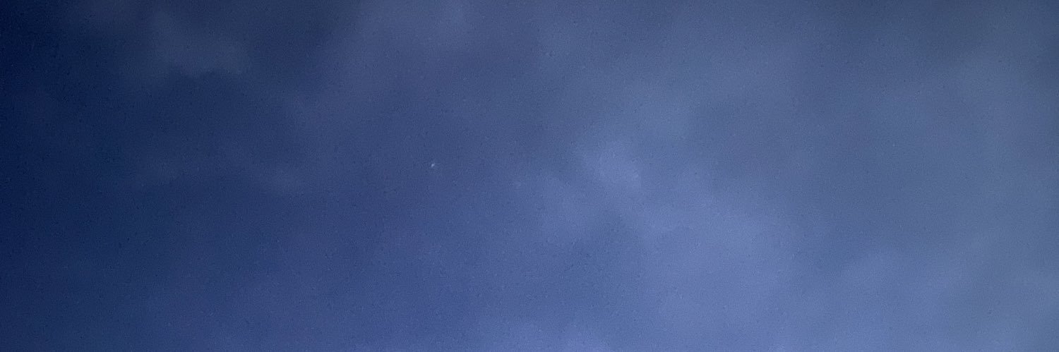 Barbi Paschal banner