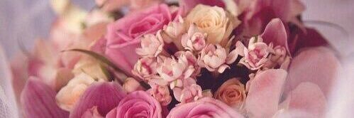 321Flower's profile banner image