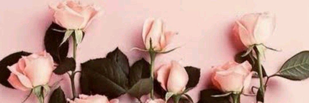 Zama_Sine's profile banner image