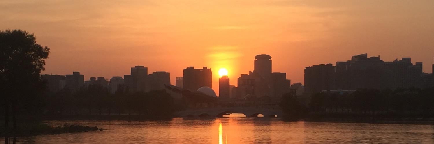 Mario Schmidt banner