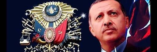 sosyalkaptan's profile banner image