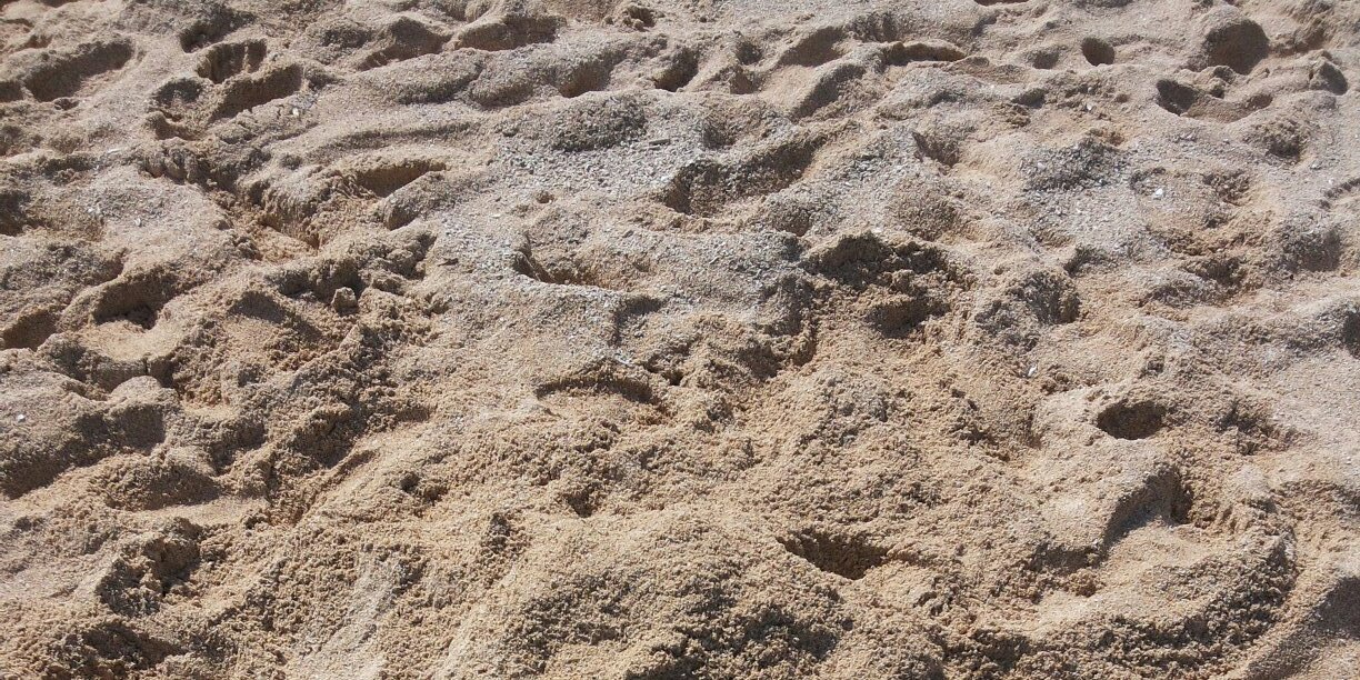 bibahbo's profile banner image