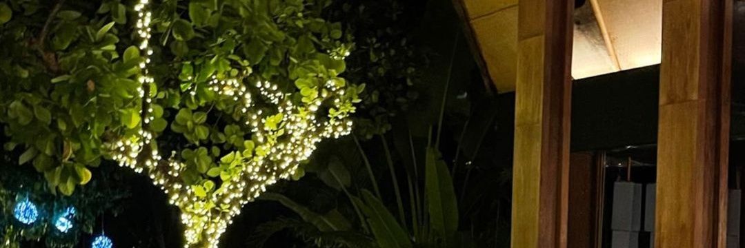 Zz_n22's profile banner image