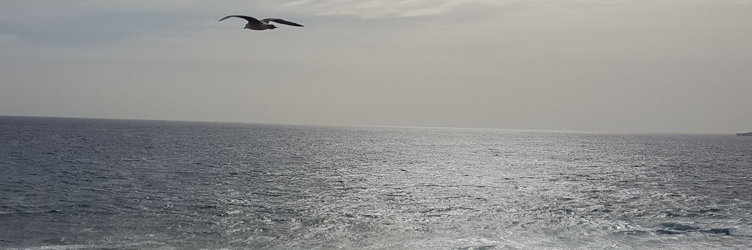 silvigp78's profile banner image