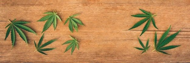 single420pue's profile banner image