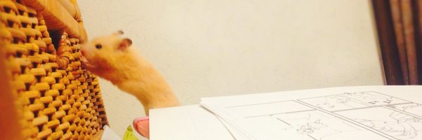 tmgwxxxx Profile Banner