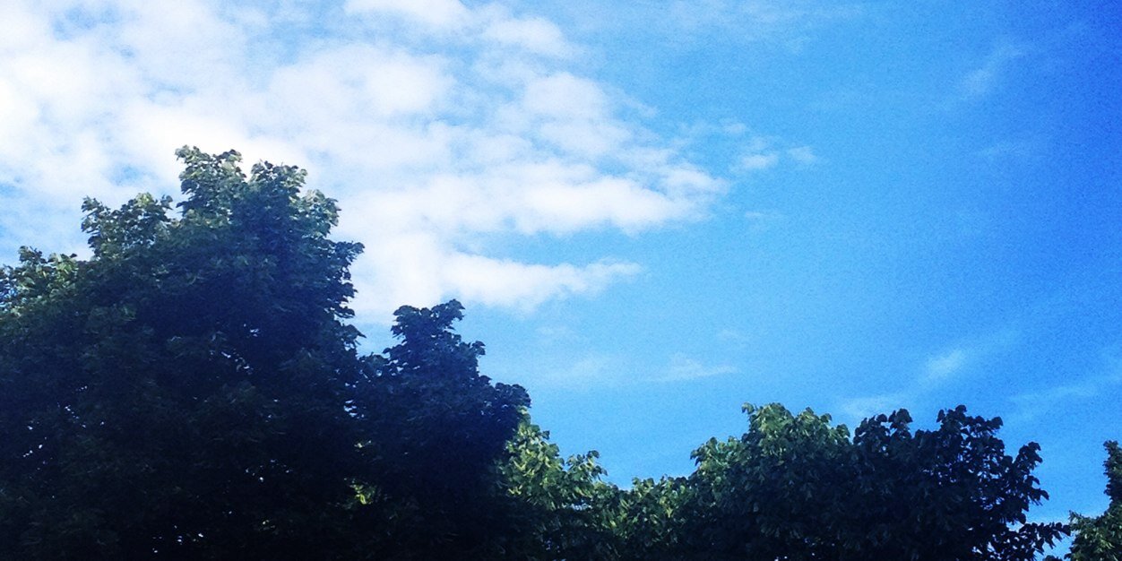 HRNsBo's profile banner image
