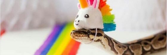 beckerlaris's profile banner image