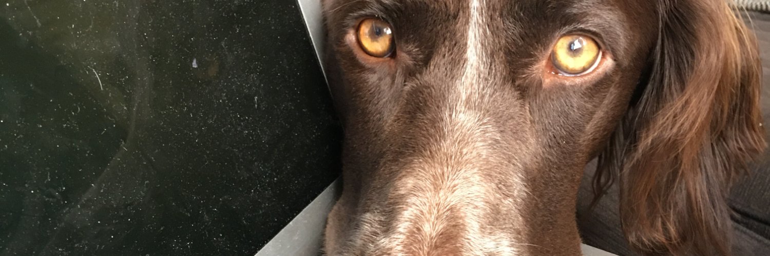 BOFG's profile banner image