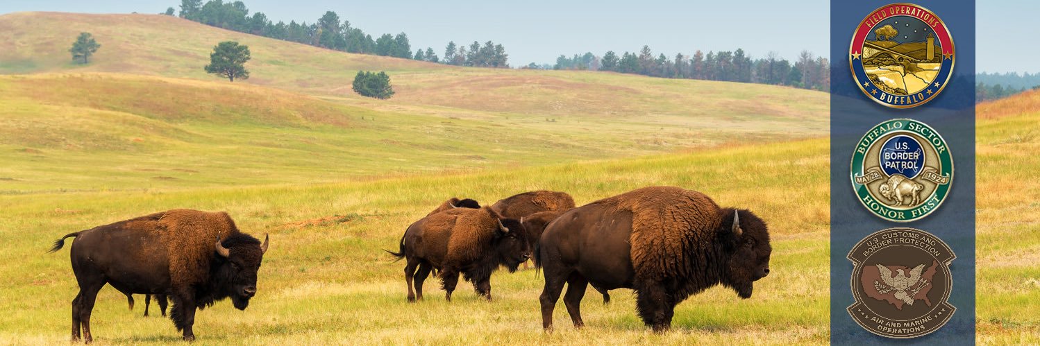 CBP Buffalo banner