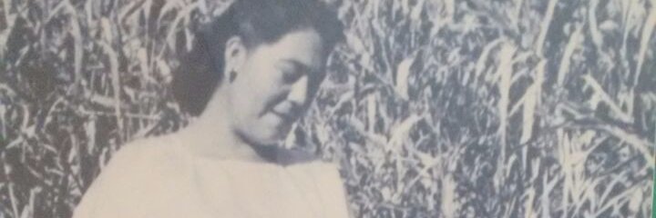 MonsantoPablo's profile banner image