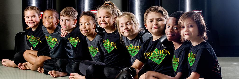 Premier Martial Arts banner