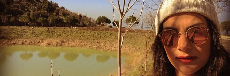 setdasso's profile banner image