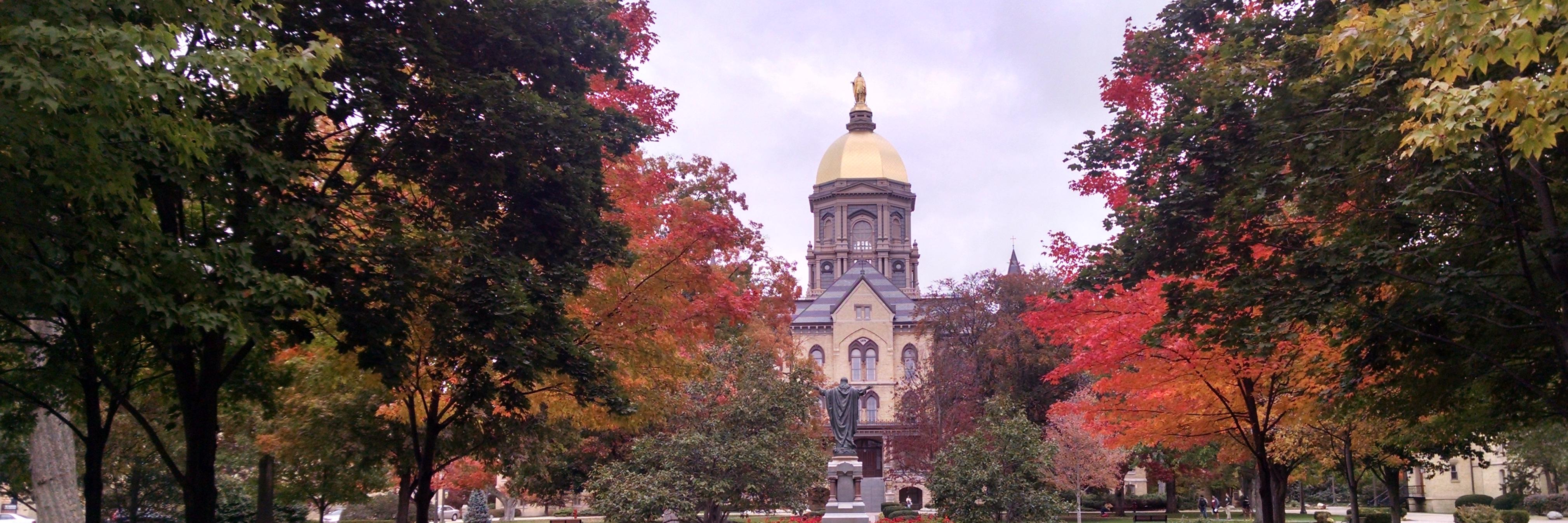 Gina Navoa Svarovsky banner