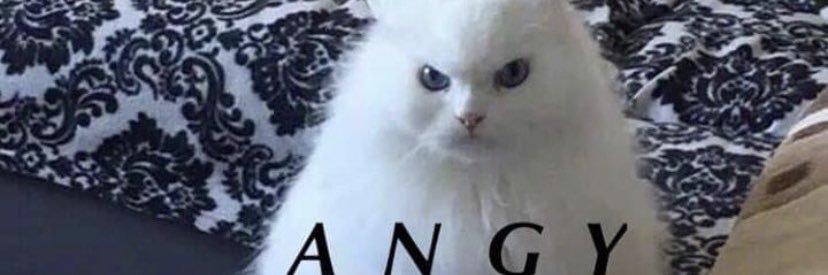 hai hai gourmet banner