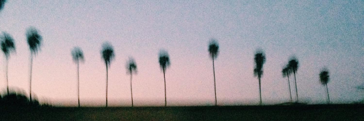 bitterlorac's profile banner image