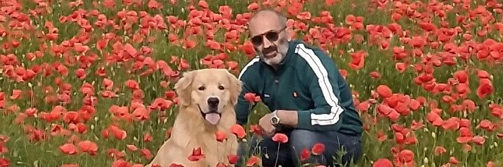 Carpinone74's profile banner image