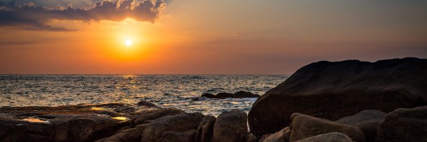 Willie Burrel II banner