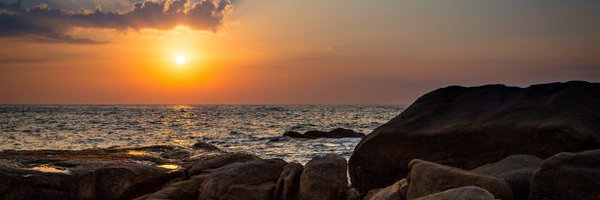 WillBurrel Profile Banner