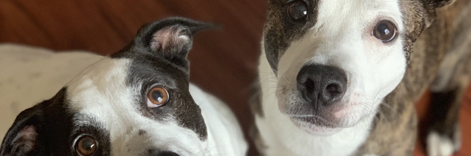 StackieTacka's profile banner image