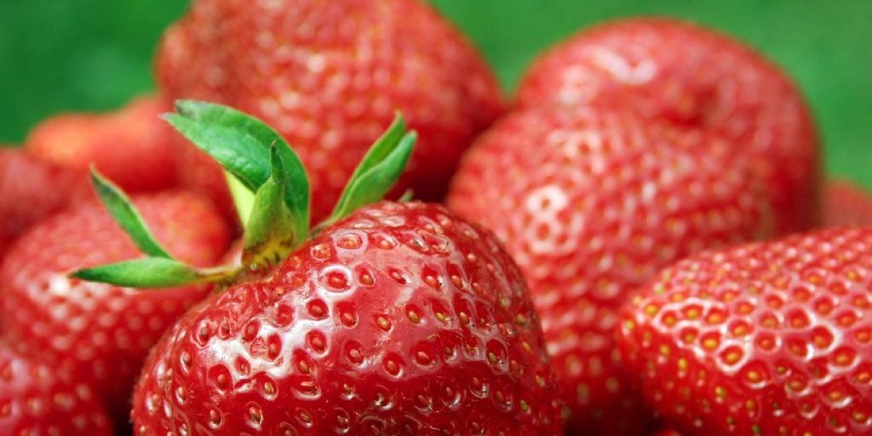 MarcoFragomeni's profile banner image