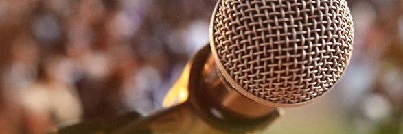 BVM Berufsverband Dt. Markt-/Sozialforscher e.V. banner