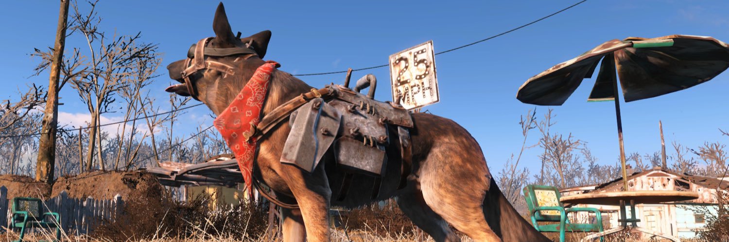 kgzampini's profile banner image