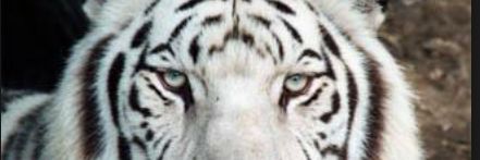 ساعة الصفر 🇸🇦 banner