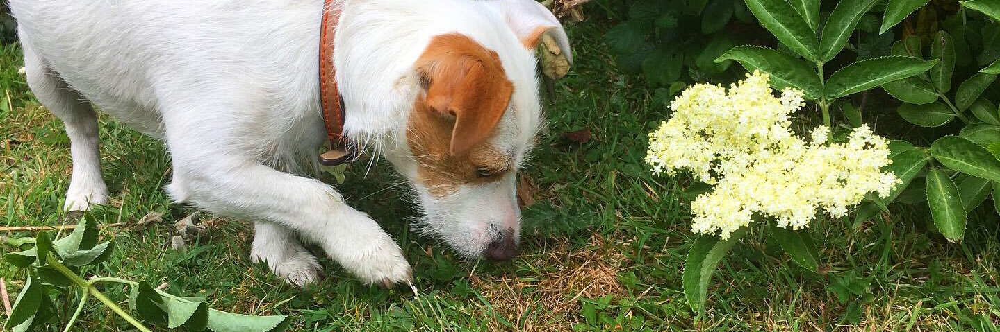 Stuart Winstone banner