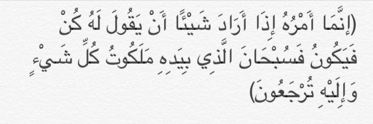 وضحى المري banner