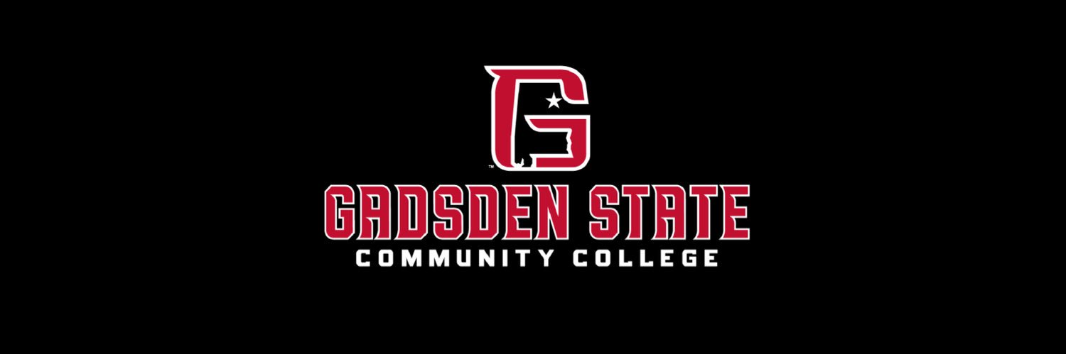 GSCCLibrary's profile banner image