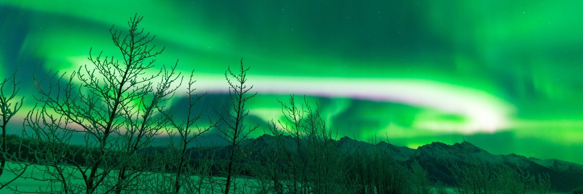 AnchorageAWE's profile banner image