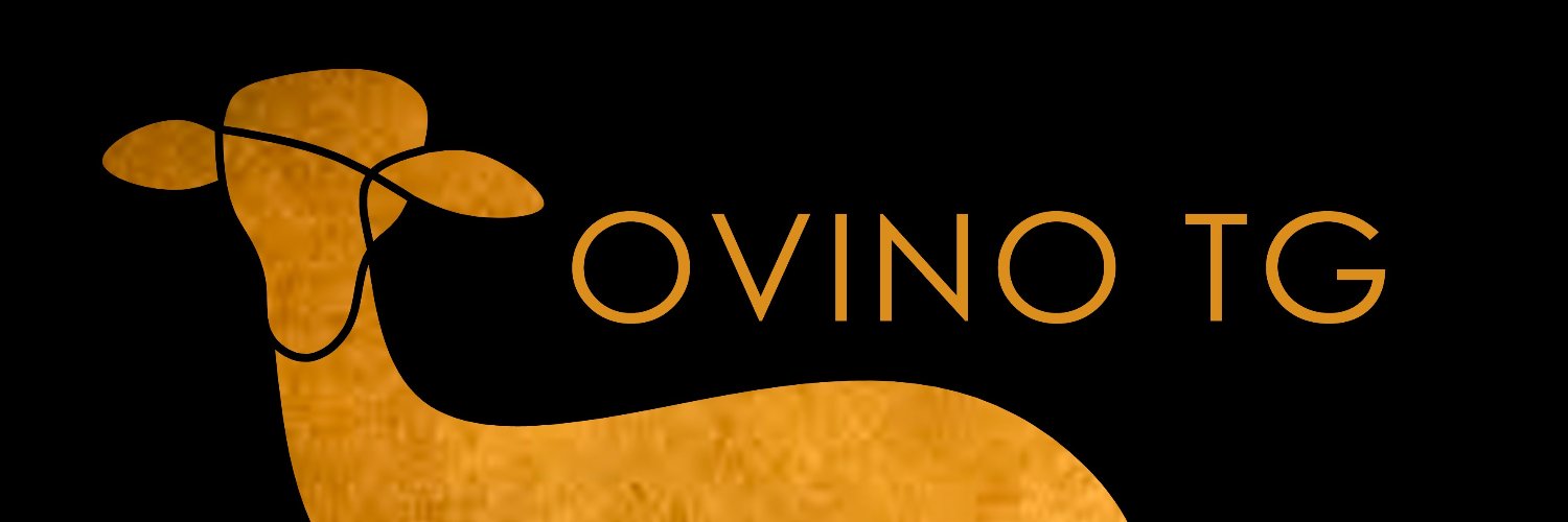 ovinotg's profile banner image